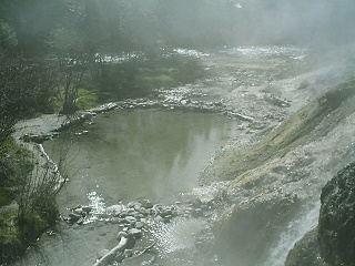 Bonneville Early Spring