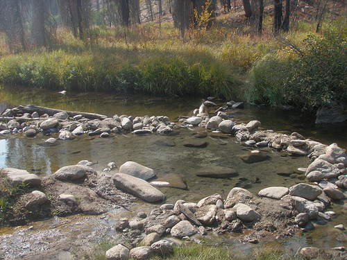 Molly's Tubs Natural Pool (no more tubs)